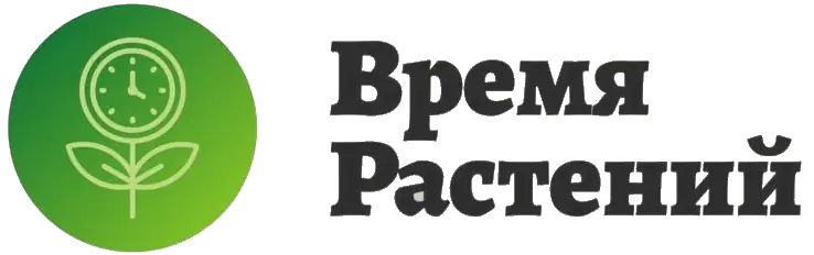 Интернет магазин Время Растений